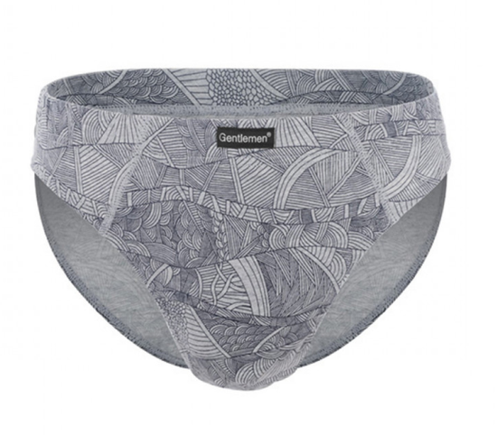 Трусы (2 шт) мужские слипы Gentlemen GP 8003