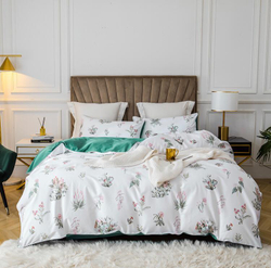 Постельное белье ЕВРО (двуспалка) Египедский Хлопок Белый лепестки