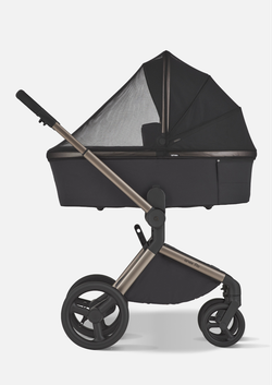 Anex Детская коляска Flo 2 в 1 Solo