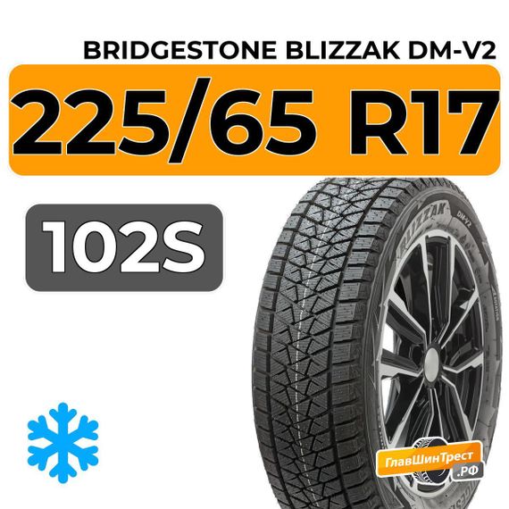 Bridgestone Blizzak DM-V2 225/65 R17 102S