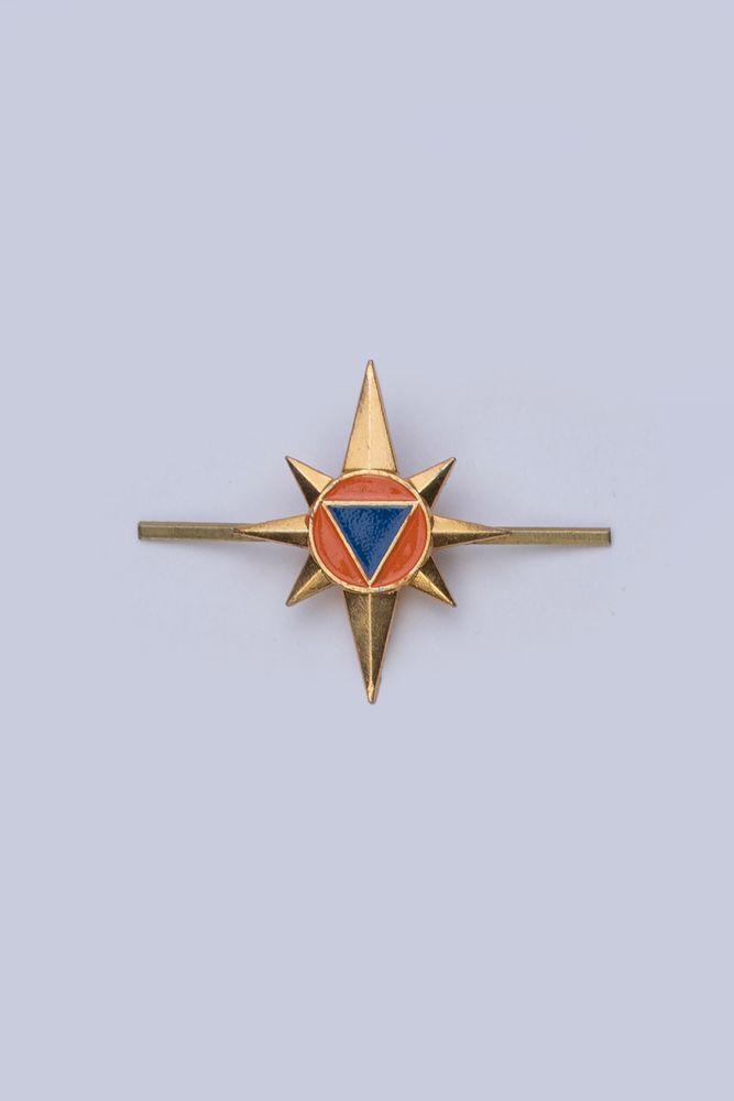 Петличная эмблема МЧС России (усики, новый образец)