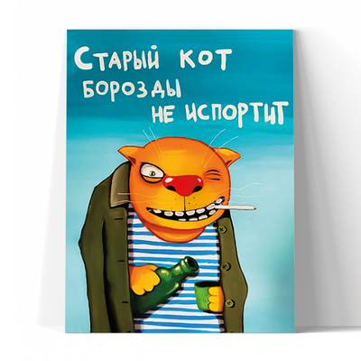 Старый кот борозды не испортит