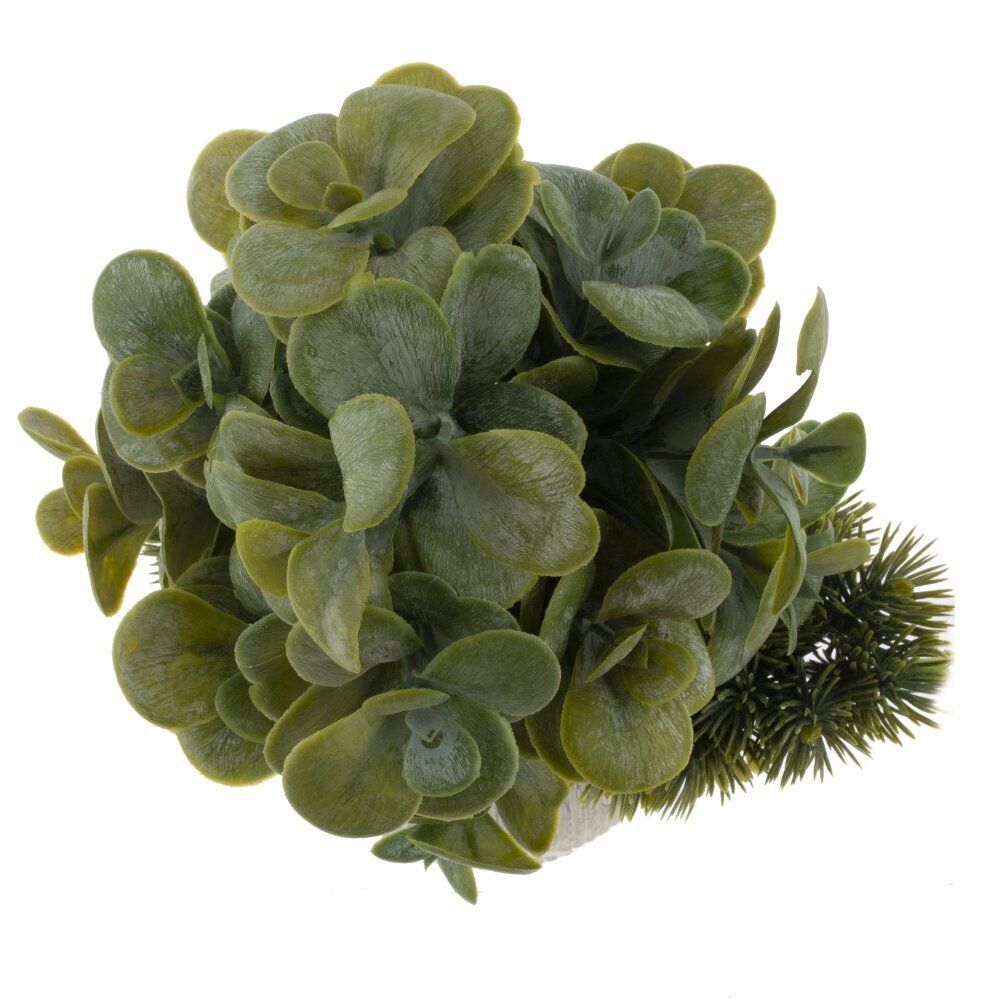 GAEM Цветочная композиция "Бонсай", L17 W14 H31 см