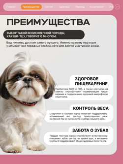 Корм сухой для взрослых собак породы Ши-тцу, с индейкой, 2,5 кг, QUATTRO