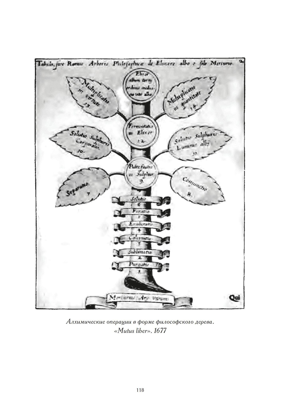 Осмысляя Юнга