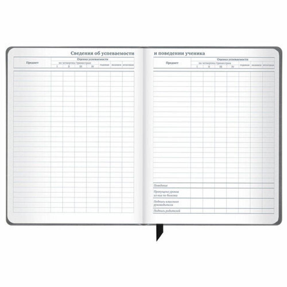 Дневник 1-11 класс 48 л., кожзам (твердая), печать, резинка, конверт, BRAUBERG, "Аниме", 106578