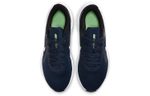 Кроссовки Nike Downshifter 10