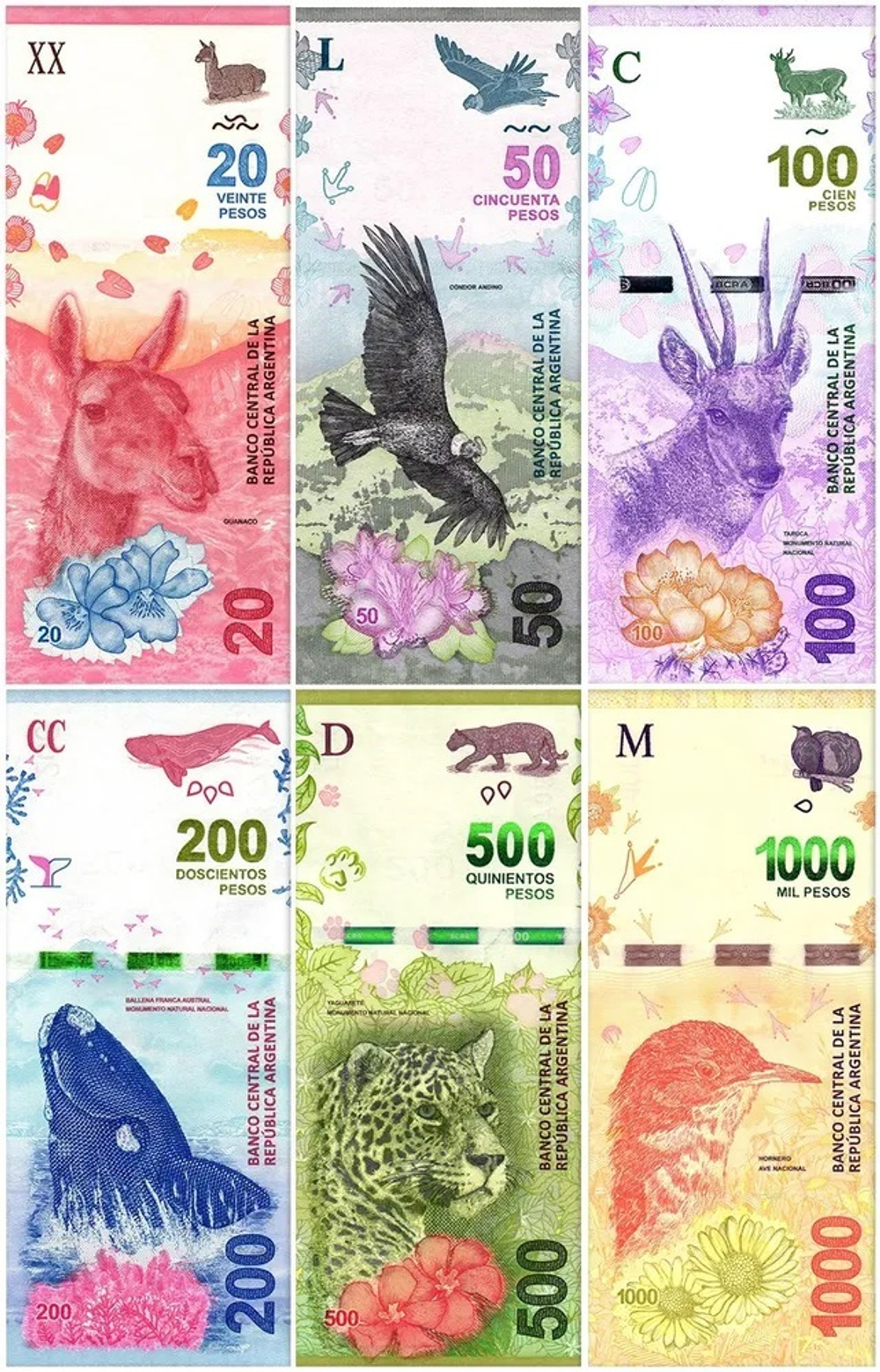 Аргентина 2015 - 2024 Набор 6 банкнот UNC