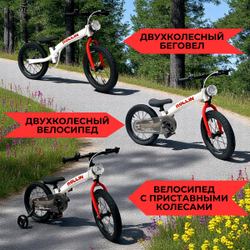 Велосипед-трансформер BubaGO Rollin 