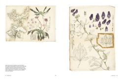 Botanical Sketchbooks