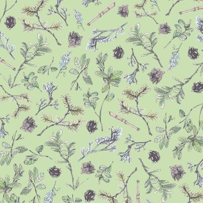 Карельский лес