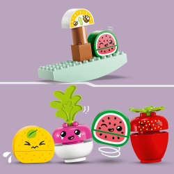 LEGO DUPLO Мой первый — Биомаркет 10983 / артикул   10983  / GTIN 5702017416977