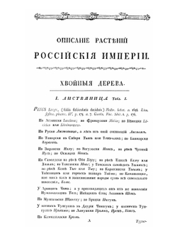 Описание растений Российского государства. Часть 1 | П.С. Паллас