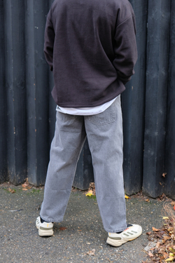 Джинсы Anteater Baggy Grey