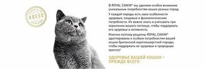 Уценка! Срок до 05.2024/ Корм для кошек, Royal Canin British Shorthair Adult, для кошек породы британская короткошерстная и породы шотландская вислоухая в возрасте от 1 года и старше