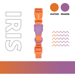 Ошейник NEOPRO IRIS Zee.Dog