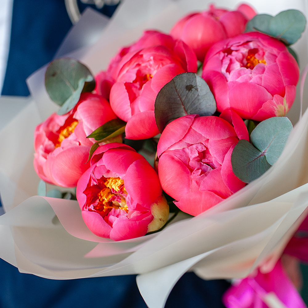 7 пионов корал шарм с эвкалиптом