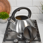 Чайник 3,5л нерж 9975BH