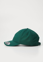 Carhartt WIP MADISON UNISEX - Кепка - Зелёный
