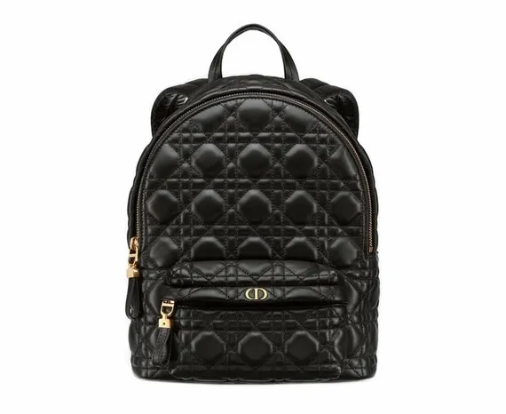 Рюкзак Dior, модель маленького формата