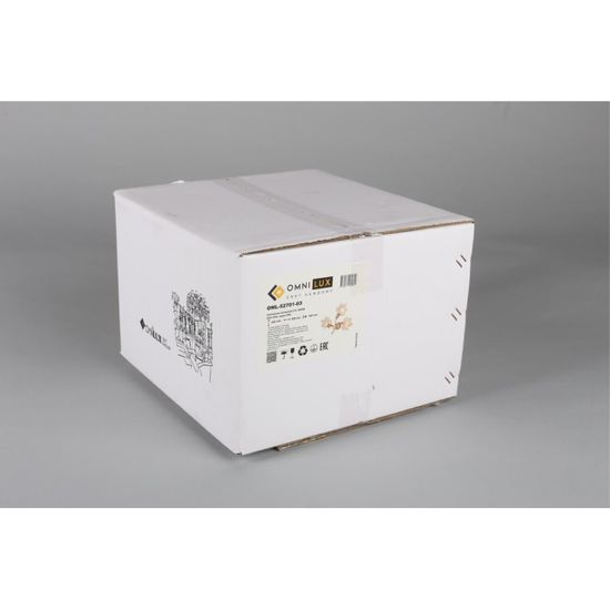 Светильник настенный (Бра) OML-52701-03