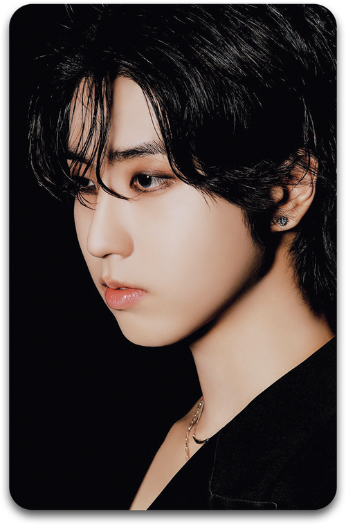 Карта / STRAY KIDS #1483