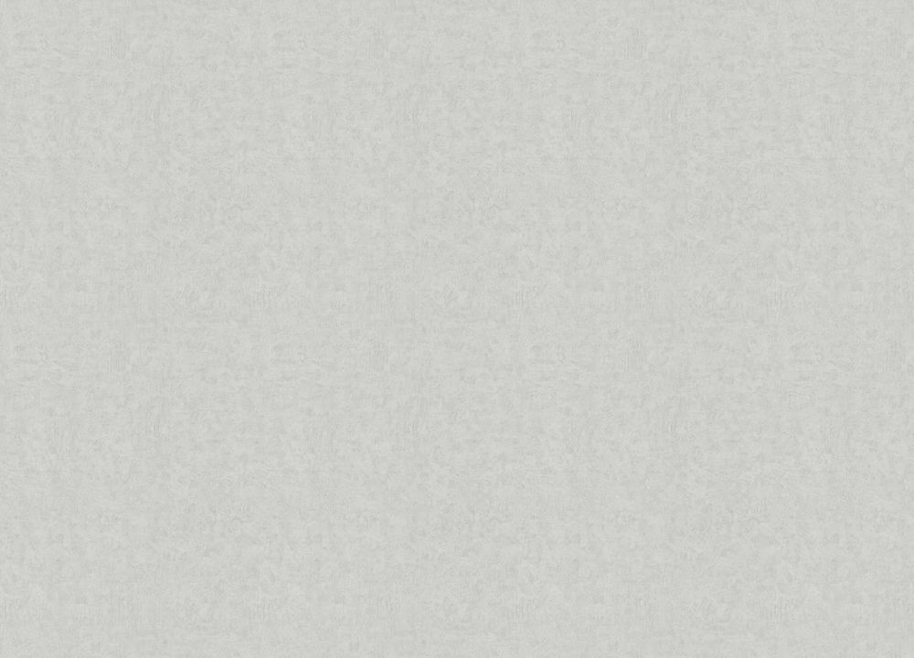 Otaru / Kumano / Surface