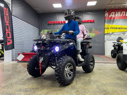 Квадроцикл PROMAX RENEGADE 300 LONG WINCH PRO (2025)