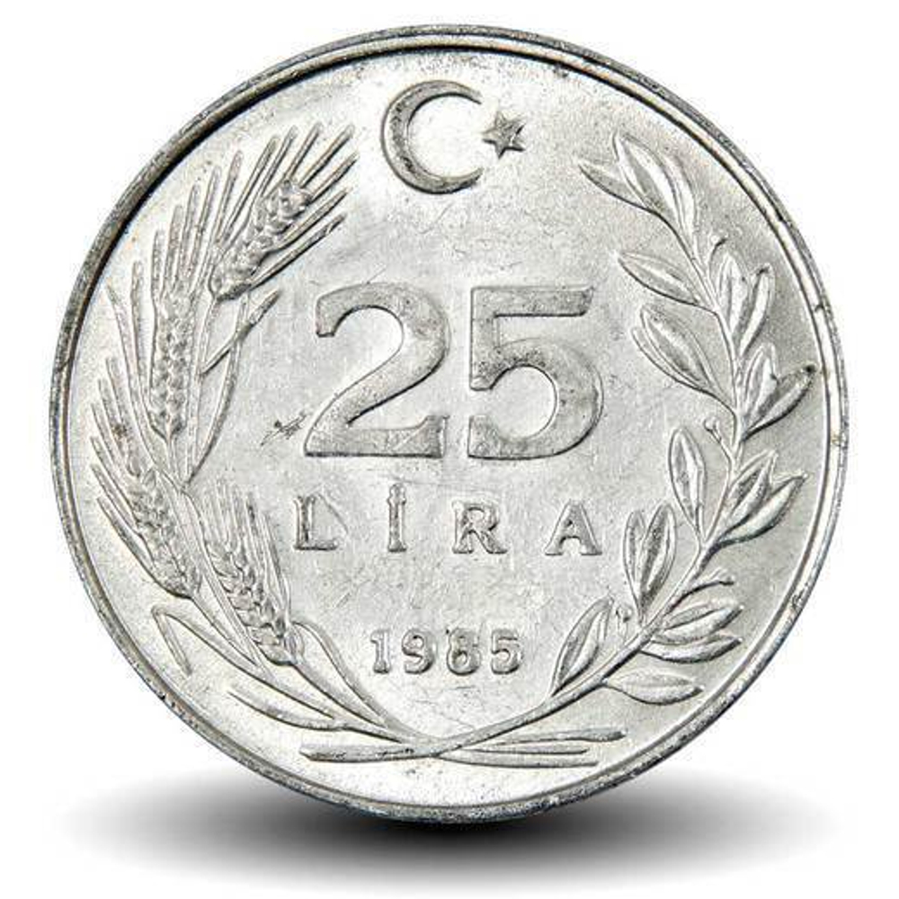 25 лир. Турция. 1985 год. UNC.