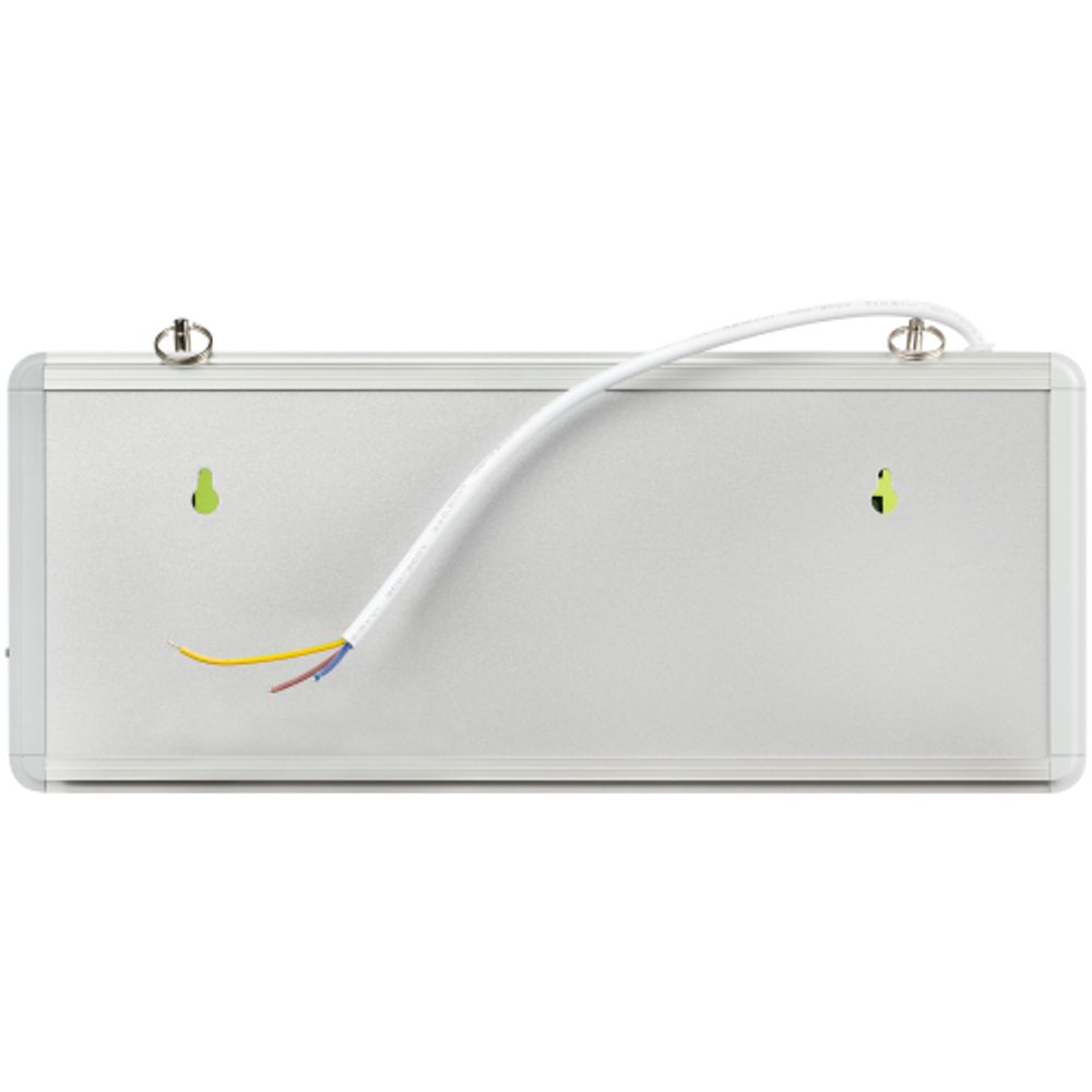 Аварийный светильник ЭРА SSA-101-1-20 светодиодный 3ч 3Вт ВЫХОД-EXIT односторонний | Указатели эвакуационные