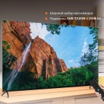 Телевизор SunWind SUN-LED65XU401 Яндекс.ТВ Frameless черный