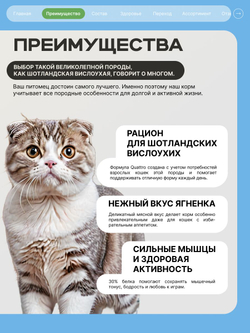 Корм сухой для кошек породы Шотландская вислоухая, с ягненком, 5 кг, QUATTRO