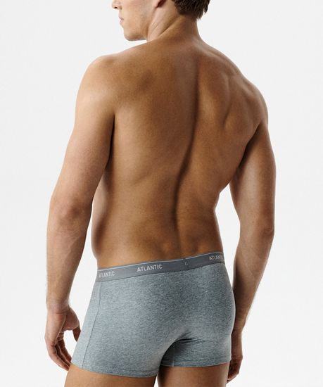 Трусы мужские боксеры (2шт), Atlantic 2RMH-011, хлопок, серый меланж + темно-голубой