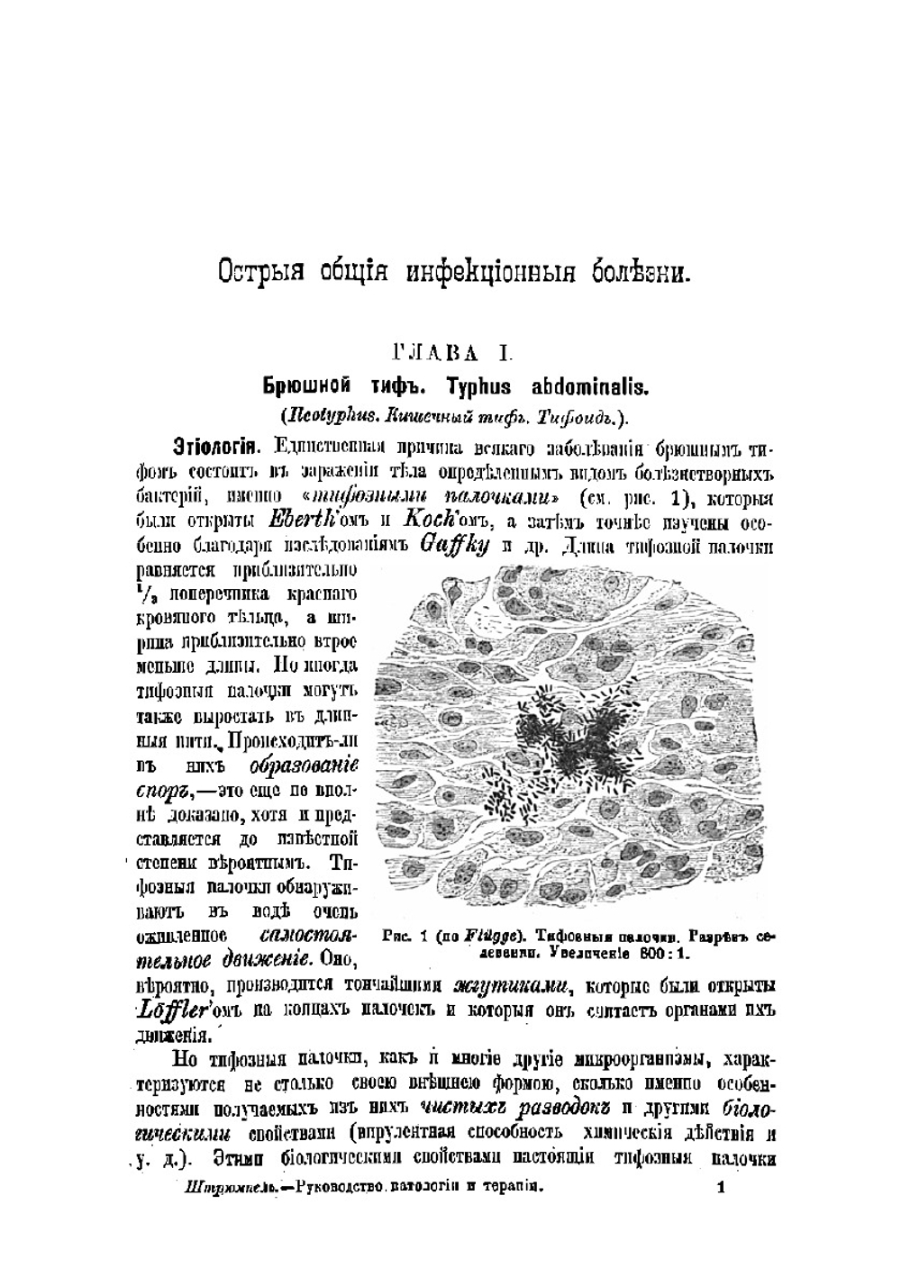 Учебник частной патологии и терапии внутренних болезней. Том 1 | Адольф Штрюмпель