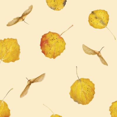 Осенние листья на желтом 2