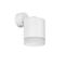 Комплект со светильником Lightstar Rullo (213486+590106+202480) RBX348680