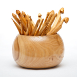 Набор деревянных крючков для вязания из вишни 25 шт. (3-20 мм) с клубочницей. KN6