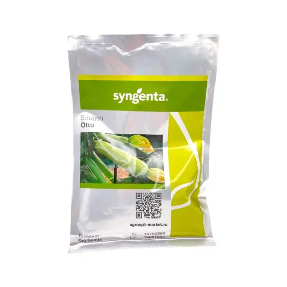 ОТТО F1 семена кабачка (Syngenta | Alexagro) – фото 2