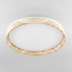 Накладной светильник Citilux ENZO CL753452G