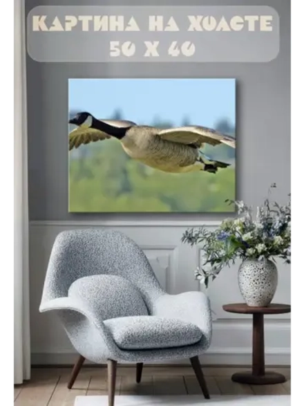 Картина на стену 40 X 50 Утка