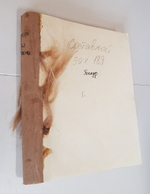 "Братья Земгано". Эдмон Гонкур. 1911г. - антикварная книга