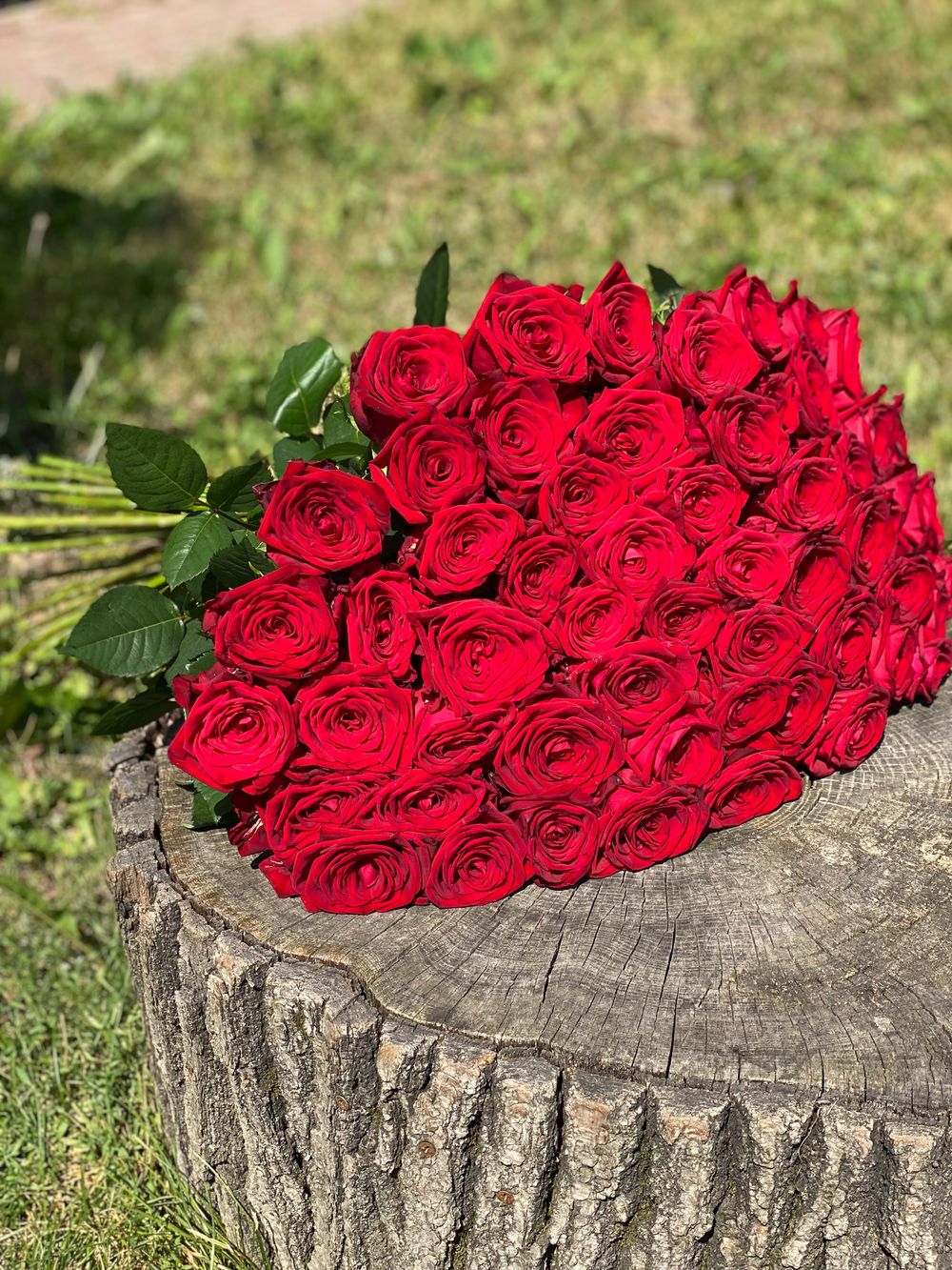 Букет Красная роза 31шт.