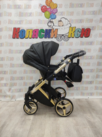 Коляска модульная Adamex Chantal Star Collection Star 102