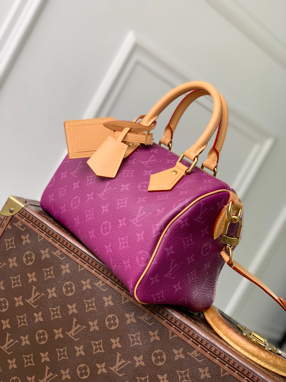 Louis Vuitton Speedy P9 Bandouliere 25