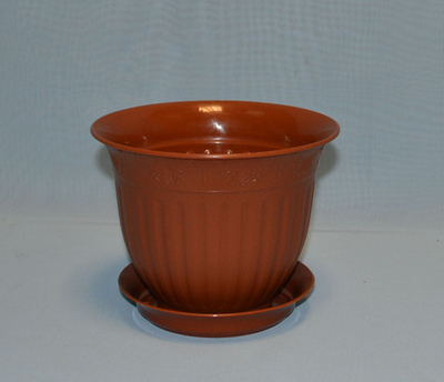 Виноград кашпо с поддоном 0,5 л