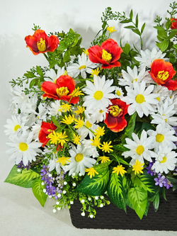 Ромашки и маки в длинном балконном ящике