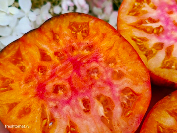 Послеобеденный восторг (Afternoon delight) сорт томата