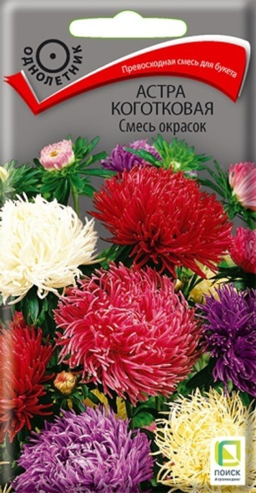Астра коготковая Смесь окрасок 0,3гр Поиск