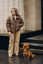 Перестежка поводок для собак 20 мм , 5 м коричневый и леопард