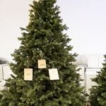 Искусственная ель «Леано» (Литая хвоя) 210 см / 2.1 м